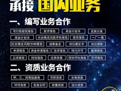 项目可行性研究报告
