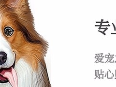 合肥宠物托运价格