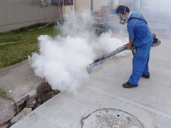温州灭跳蚤公司电话