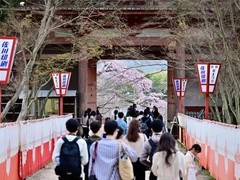 南宁日本留学机构