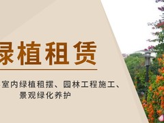 厦门绿植出租