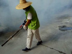 常州杀虫灭鼠灭蟑螂