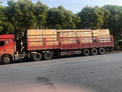 南昌国际货运价格