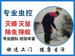 绵阳灭鼠公司
