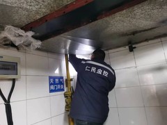 绵阳灭鼠公司
