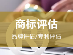 资产评估有限公司