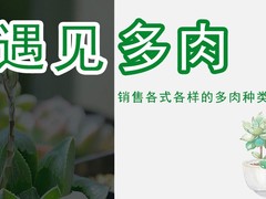 南京绿植订购电话