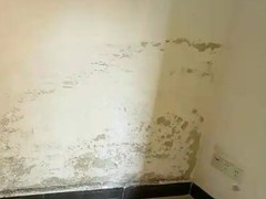 石家庄外墙防水