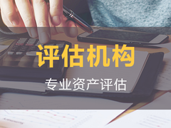兰州资产评估咨询