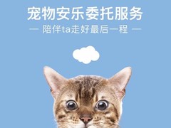 遵义宠物殡仪