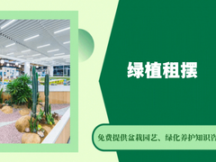 芜湖鲜花花篮
