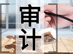 东营财务审计公司