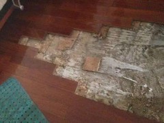 潍坊地板修补电话