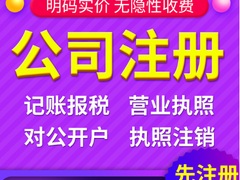 青岛财税咨询服务有限公司