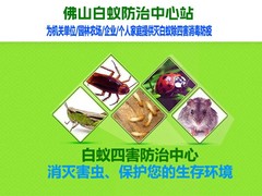 佛山白蚁防治所
