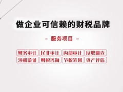 临沂年度审计