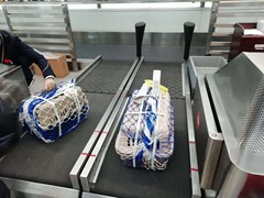 拉萨宠物托运价格