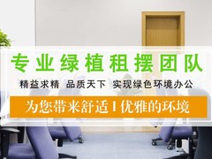 大连绿植出租