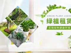 惠州办公室绿植租摆