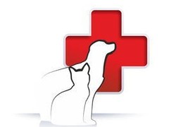 深圳罗湖24小时宠物医院