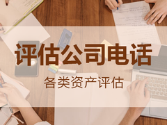 双鸭山资产评估报告