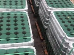 东莞沙子水泥批发