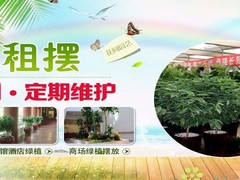 古交盆栽出售