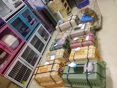烟台宠物托运价格