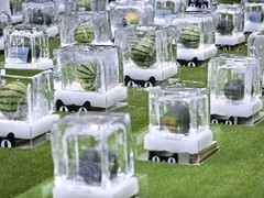 四川雨晨制冰厂：成都兴雨晨冰雕有限公司