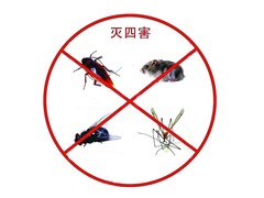 乐山灭白蚁公司
