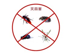乐山灭白蚁公司