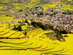 重庆包团旅游
