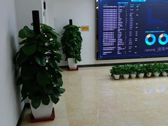 福州绿植订购