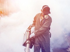 温州白蚁防治机构电话