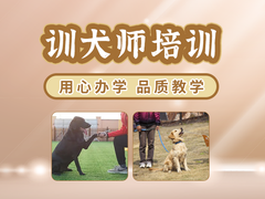 昆明训犬基地