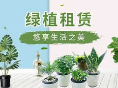 厦门绿植订购