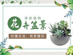 杏花岭花卉出租