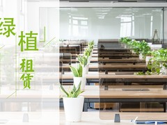 庐阳办公室绿植租赁