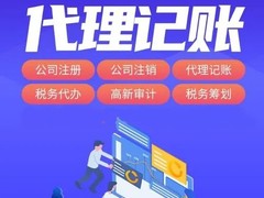 莆田年检审计代理