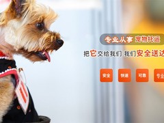 唐山宠物狗托运公司