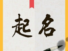 罗元大师