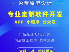 沈阳应用软件开发