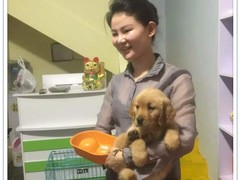 名扬犬业NO3 
