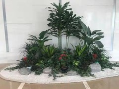 重庆绿植租摆