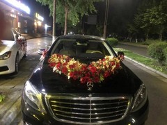 保定婚车