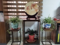 星辉