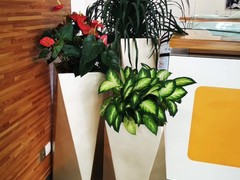 无锡鲜花绿植