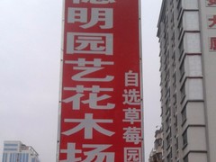 深圳市光明新区公明穗明园艺花木场