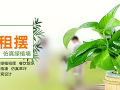 成都绿植租赁