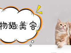 北京派多格宠物用品有限公司朝阳区冠军城店